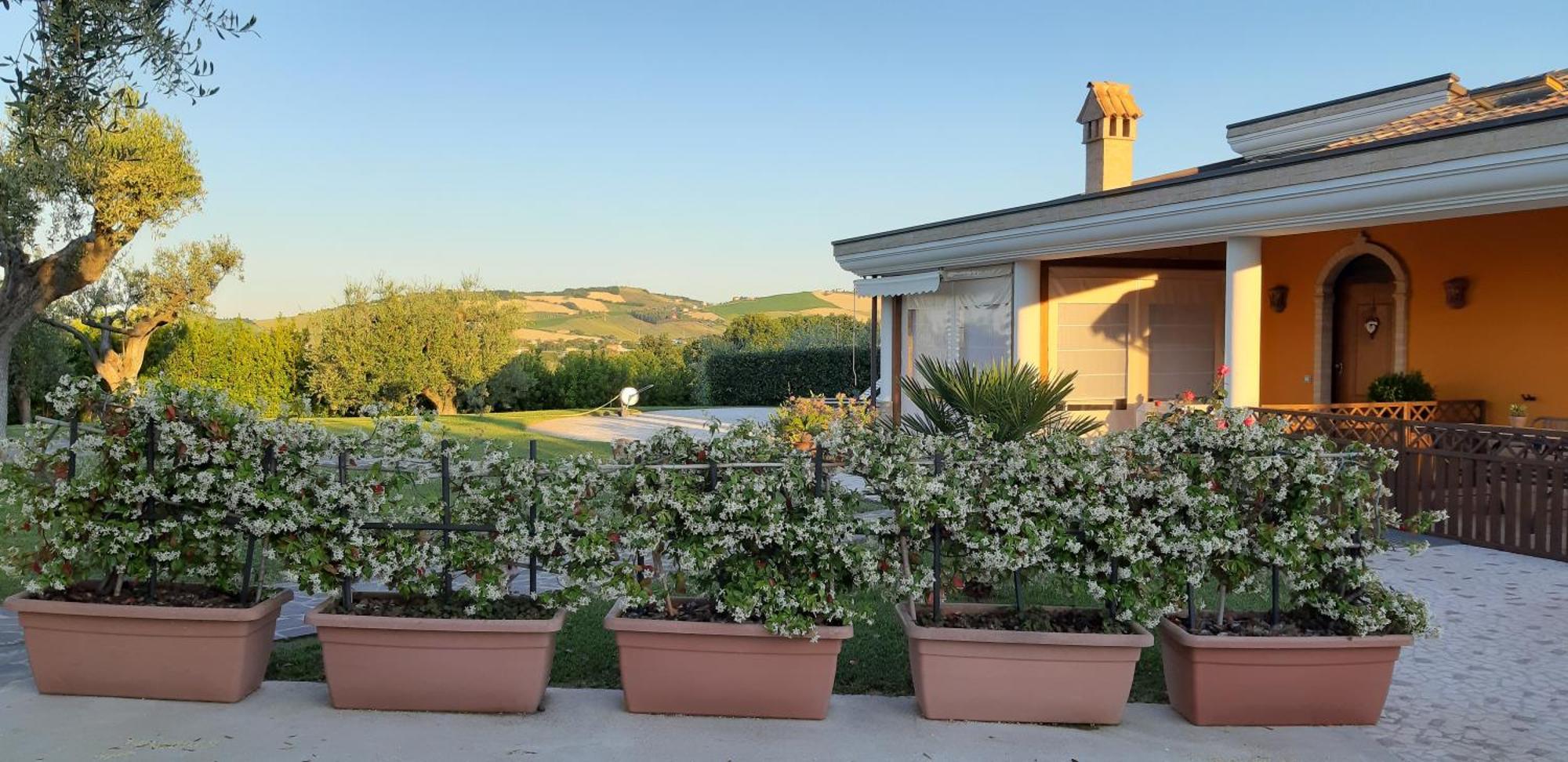 B&B Agrifoglio Sant'Elpidio a Mare Ngoại thất bức ảnh